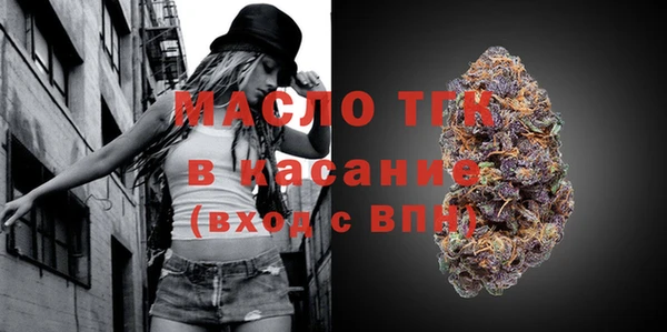 индика Гусиноозёрск